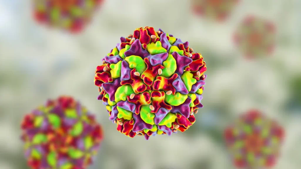 Şap Hastalığı Nedir?