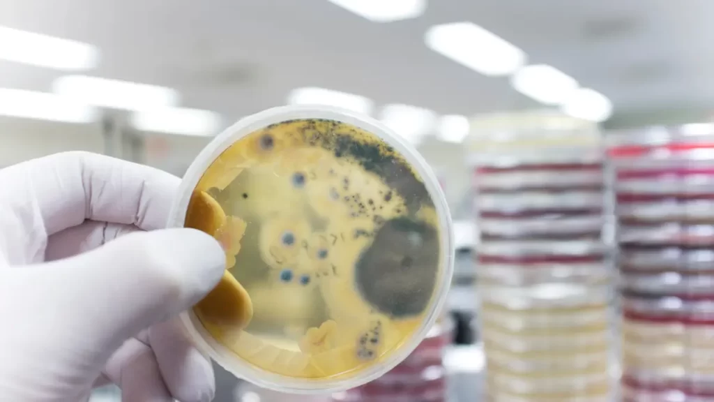 Klor Dirençli Patojenler: Sudaki Mikroorganizmalar