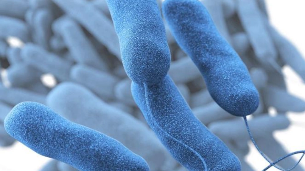 Lejyonella İle Mücadelede Klordioksit Kullanımı