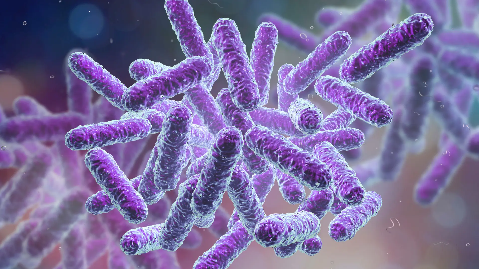 salmonella analiz nedir kaç gün sürer