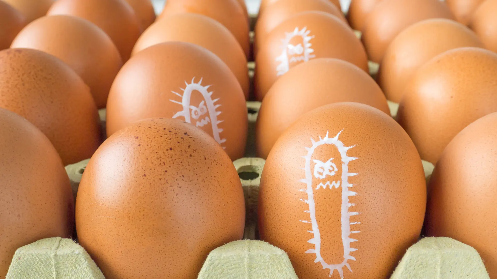 salmonella kontrolü nasıl sağlanır